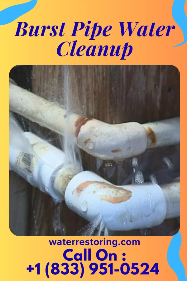 Burst Pipe Water Cleanup in Mackville, KY