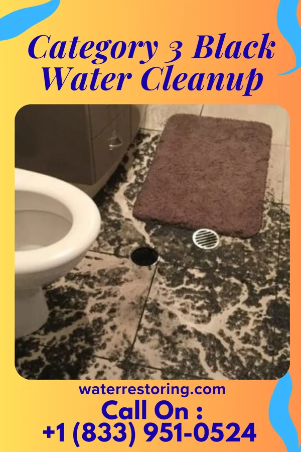 Category 3 Black Water Cleanup in Mackville, KY