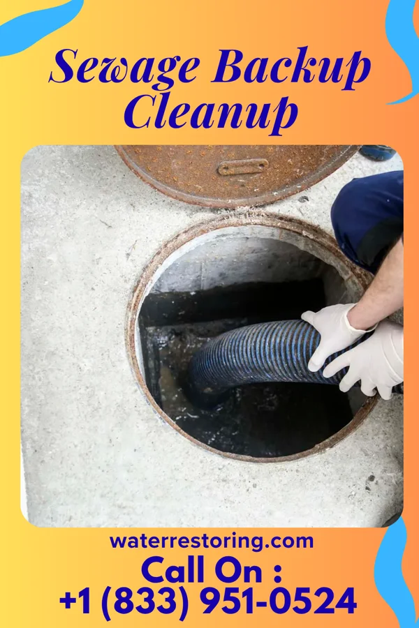 Sewage Backup Cleanup in Mackville, KY