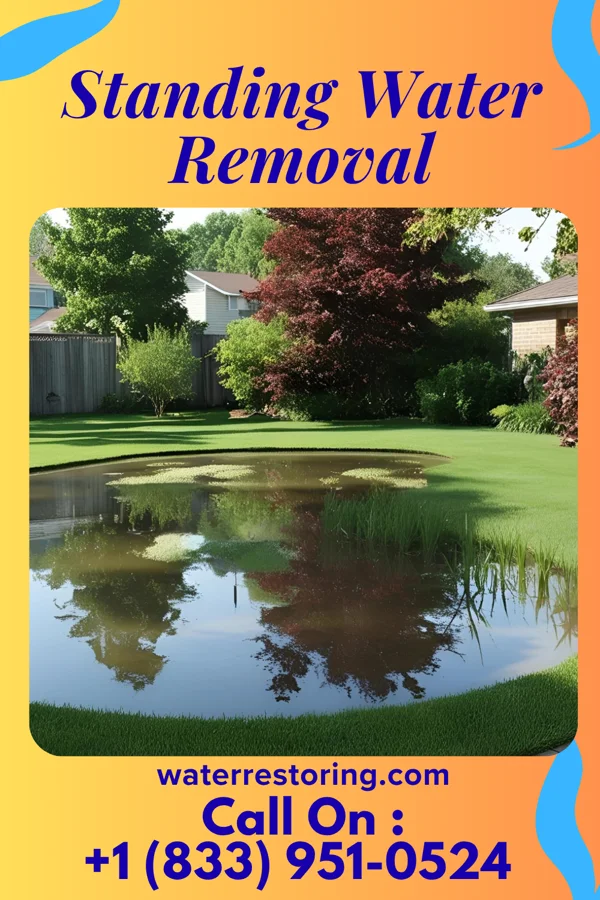 Standing Water Removal in Mackville, KY